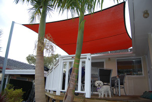 Deck, Wheeler's Hill